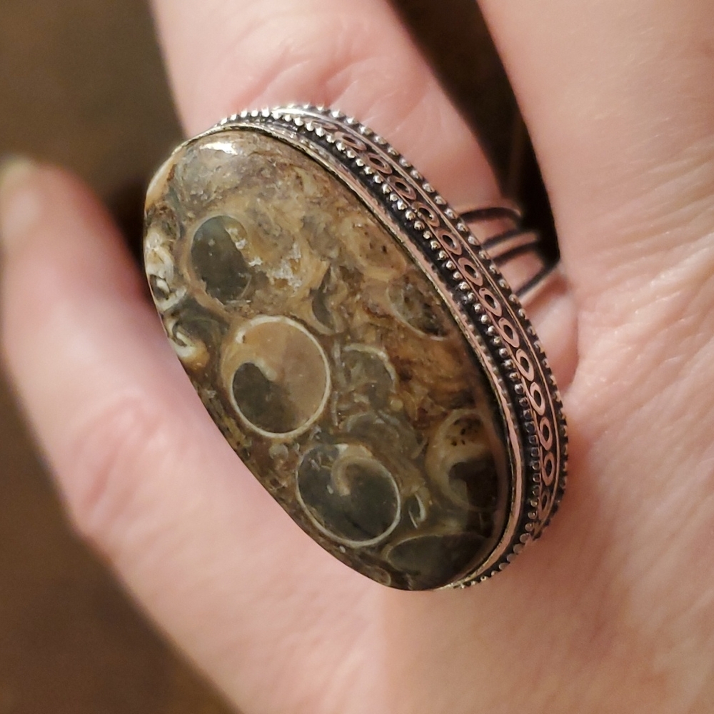 New Turritella Agate Fossil 925 Silver Ring.